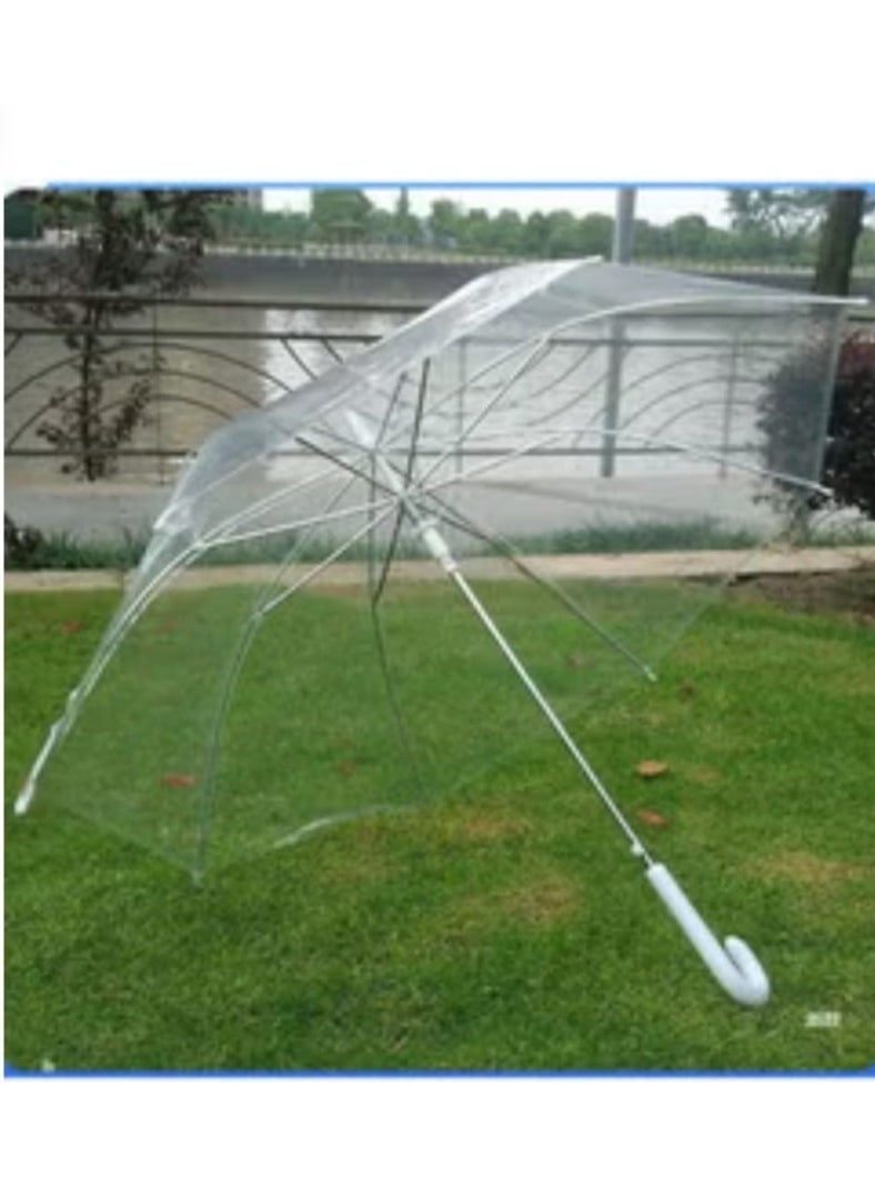 Semi-automatic transparent umbrella - pzsku/ZFFCCD435DC65B98B92ECZ/45/_/1709065077/667a37e3-561b-4931-9795-baf3bb308653