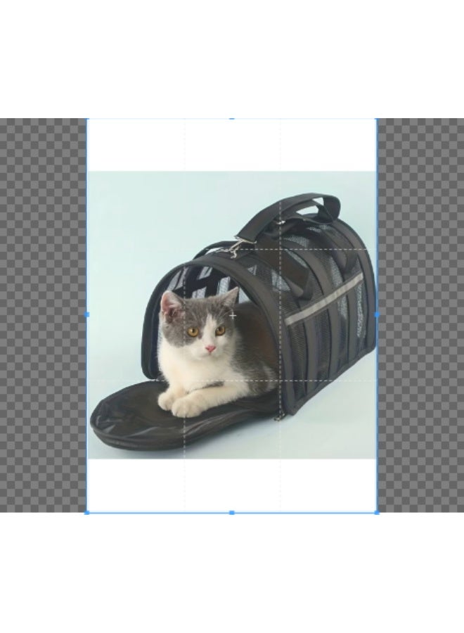 Pet Bag