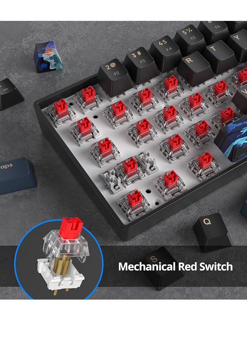 JeDEL KL69 60% Gaming Mechanical Keyboard Compact – Rainbow LED Backlit – 61 Keys Arabic / English Key – RED Switches –Double injection key caps Illumination – USB Wired | Black / Red - Image 4