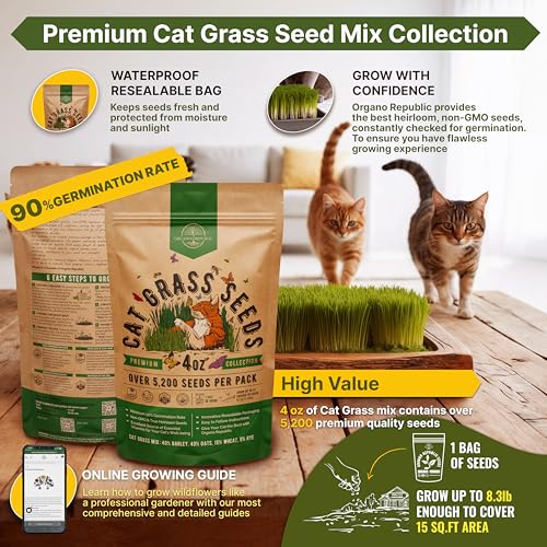 Organo Republic Cat Grass Seeds Mix - 5,200 Non-GMO Heirloom Seeds for Cats & Pets, 4 oz Pack for Growing Fresh Barley, Oat, Rye & Wheat Grass Seeds for Planting, Indoor Plants for Pets, Hairball Remedy for Cats - Image 2