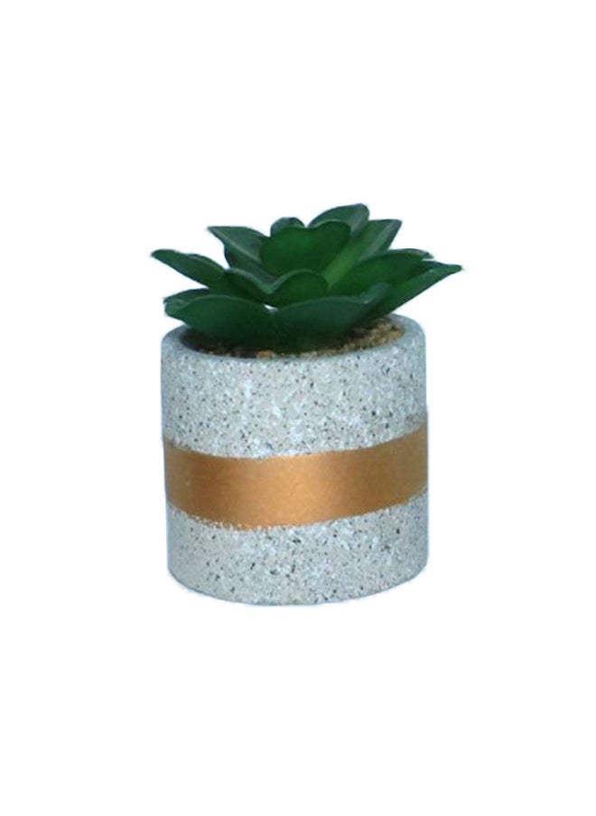 Ornamental Plant With a Small Ceramic Base - pzsku/ZFFD1876912CDE56348CCZ/45/_/1650286930/80608a4b-ad95-41fb-9480-0212cdd06654