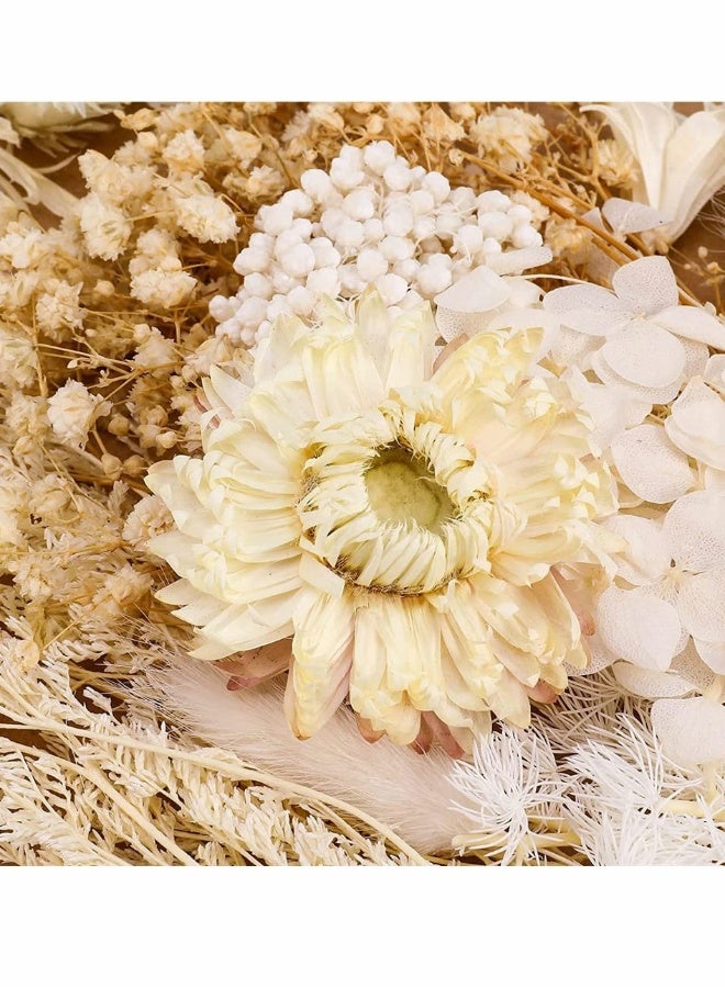 عبوتان من الزهور البيضاء المجففة لمجوهرات الراتنج - أوراق زهور مجففة مضغوطة حقيقية مع ملقط للحرف اليدوية، وفن الأظافر، وصناعة الشموع، وأغطية الهاتف، وزينة المجوهرات - Image 4