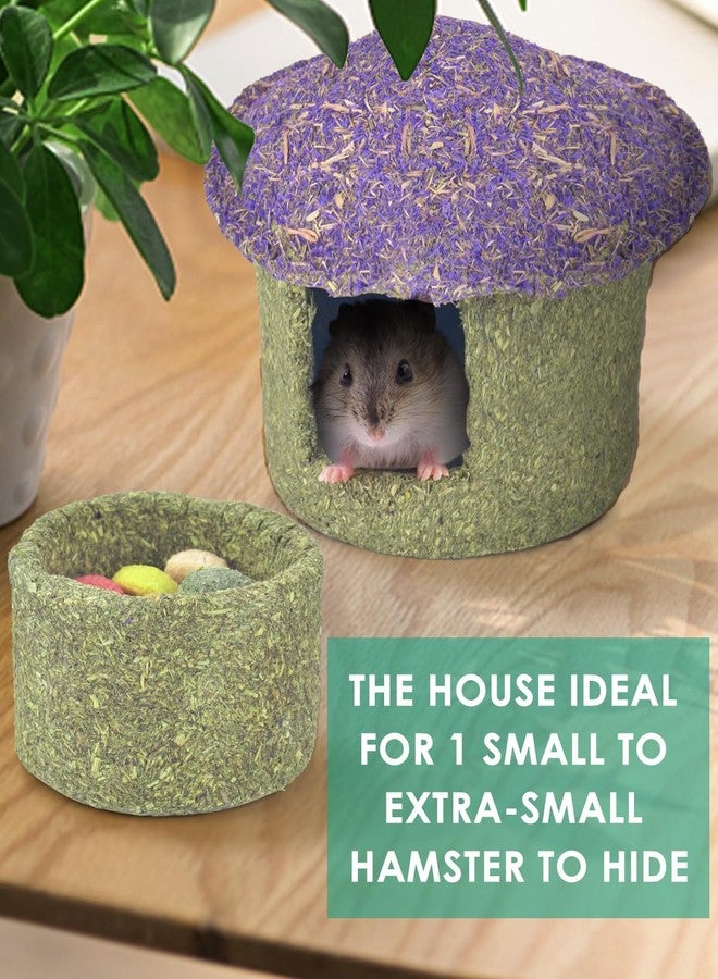 ERKOON Hamster Chew Bowl and Hideout Timothy Hay Edible Treats for Small Hamster Mice Rat Small Pets (Medium) - Image 3