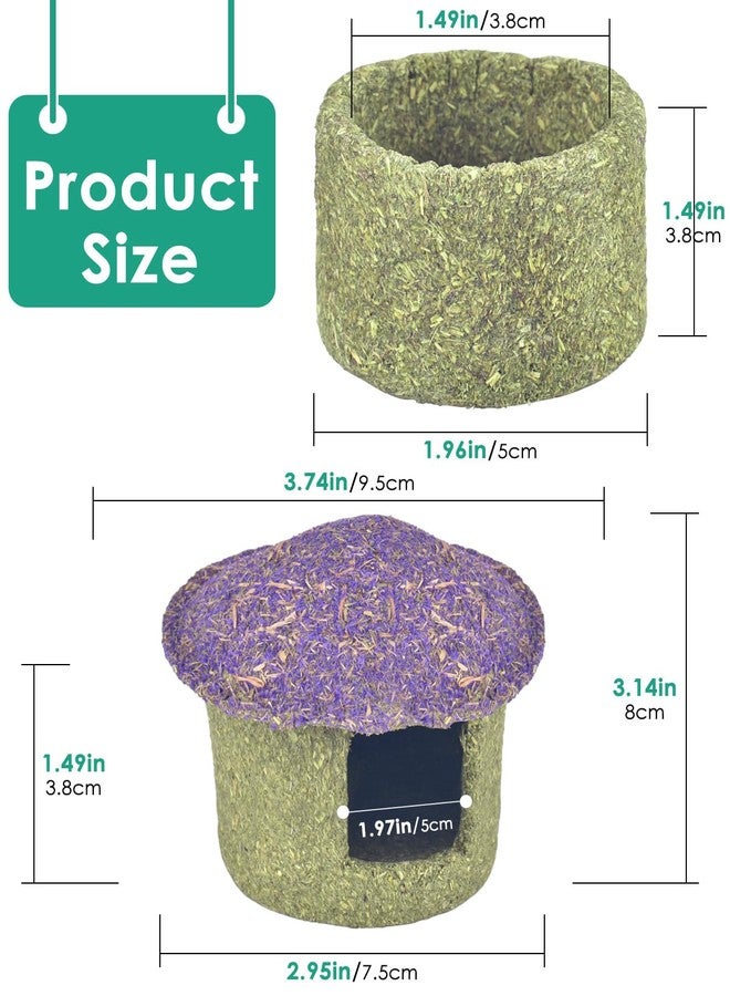 ERKOON Hamster Chew Bowl and Hideout Timothy Hay Edible Treats for Small Hamster Mice Rat Small Pets (Medium) - Image 4