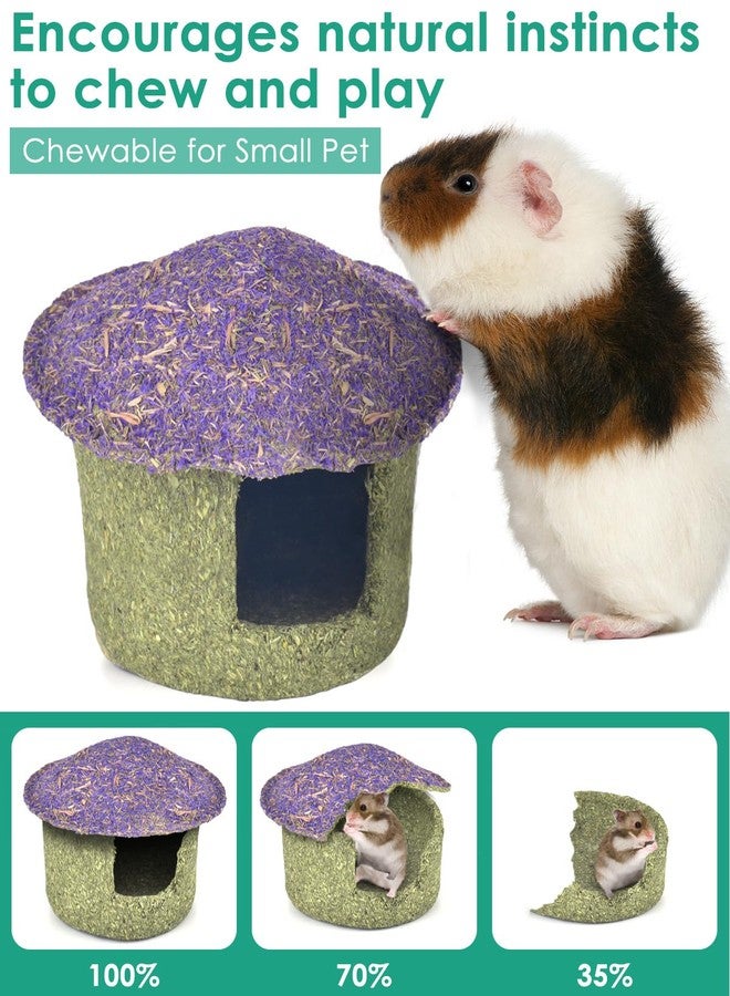 ERKOON Hamster Chew Bowl and Hideout Timothy Hay Edible Treats for Small Hamster Mice Rat Small Pets (Medium) - Image 2
