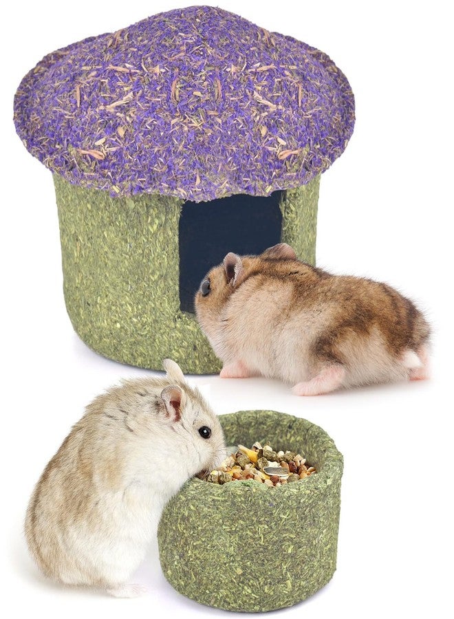 ERKOON Hamster Chew Bowl and Hideout Timothy Hay Edible Treats for Small Hamster Mice Rat Small Pets (Medium) - Image 1