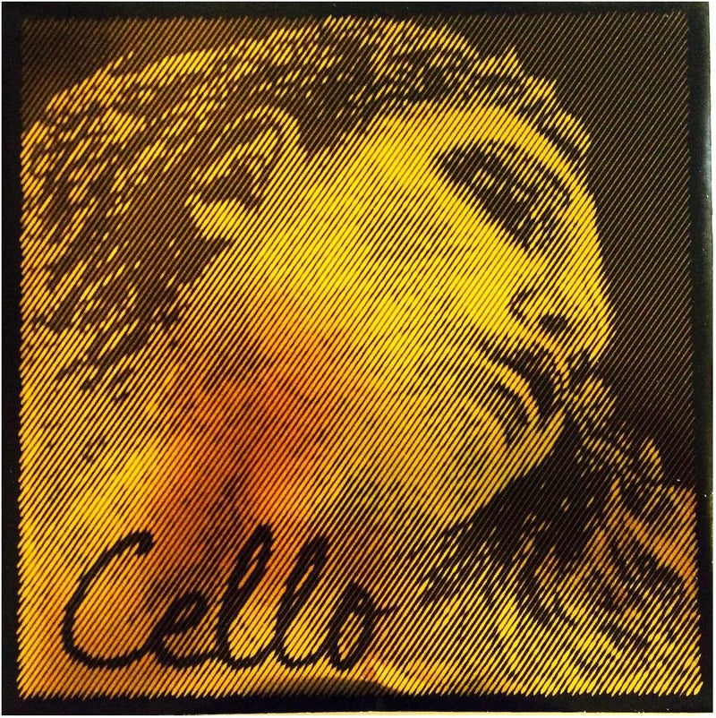 Evah Pirazzi Gold 4/4 Cello A String