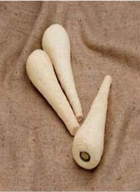 Vegetable Parsnip F1 Gladiator 150 Seeds