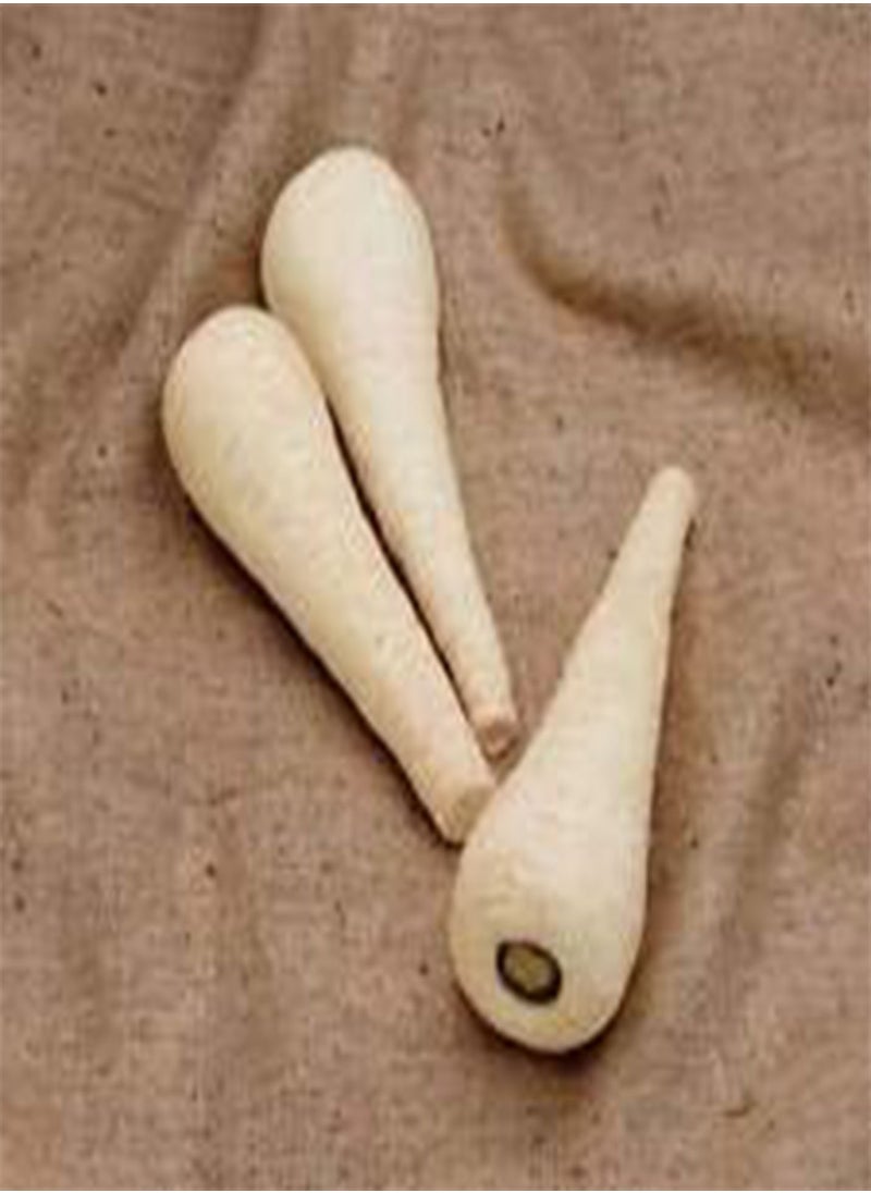Vegetable Parsnip F1 Gladiator 150 Seeds