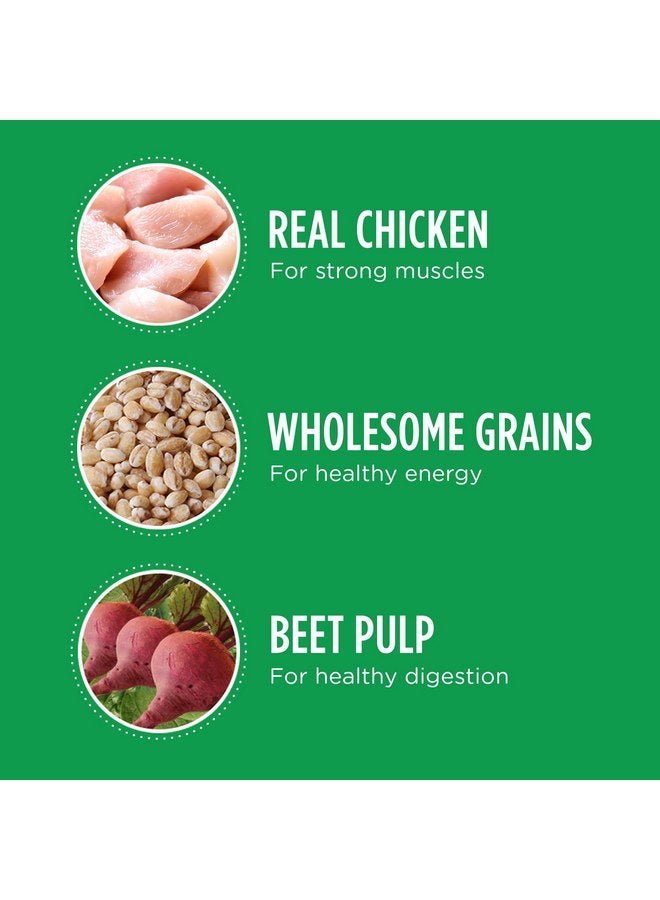 إيامز Iams ProActive Health Pro Active Health Adult MiniChunks - سلالات الكلاب الصغيرة والناشئة - 6 أرطال - Image 5