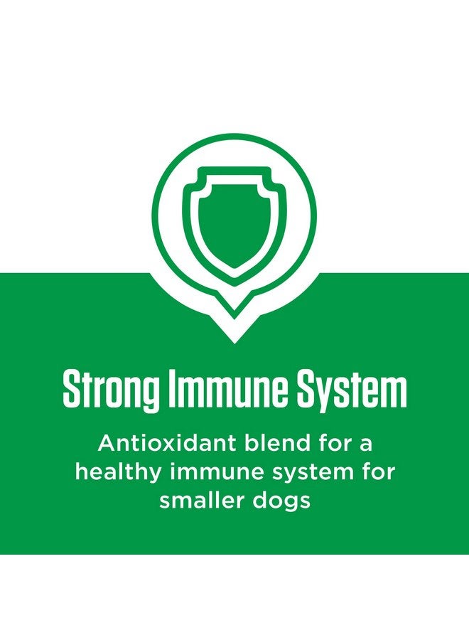 إيامز Iams ProActive Health Pro Active Health Adult MiniChunks - سلالات الكلاب الصغيرة والناشئة - 6 أرطال - Image 4