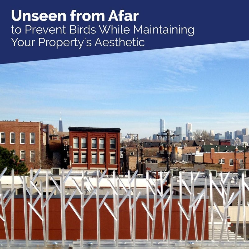 Bird-X Sp-10-Nr Plastic Polycarbonate Bird Spikes Kit with Adhesive Glue - 10 Feet Coverage - Image 4