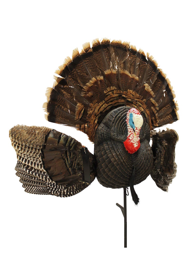 MOJO Outdoors MOJO Scoot-N-Shoot MAX Tom Turkey Hunting Decoy with Realistic Fan - Image 3
