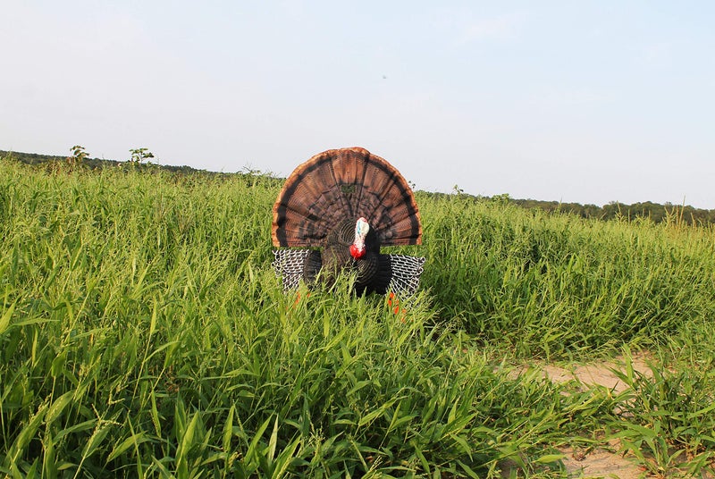MOJO Outdoors MOJO Scoot-N-Shoot MAX Tom Turkey Hunting Decoy with Realistic Fan - Image 5