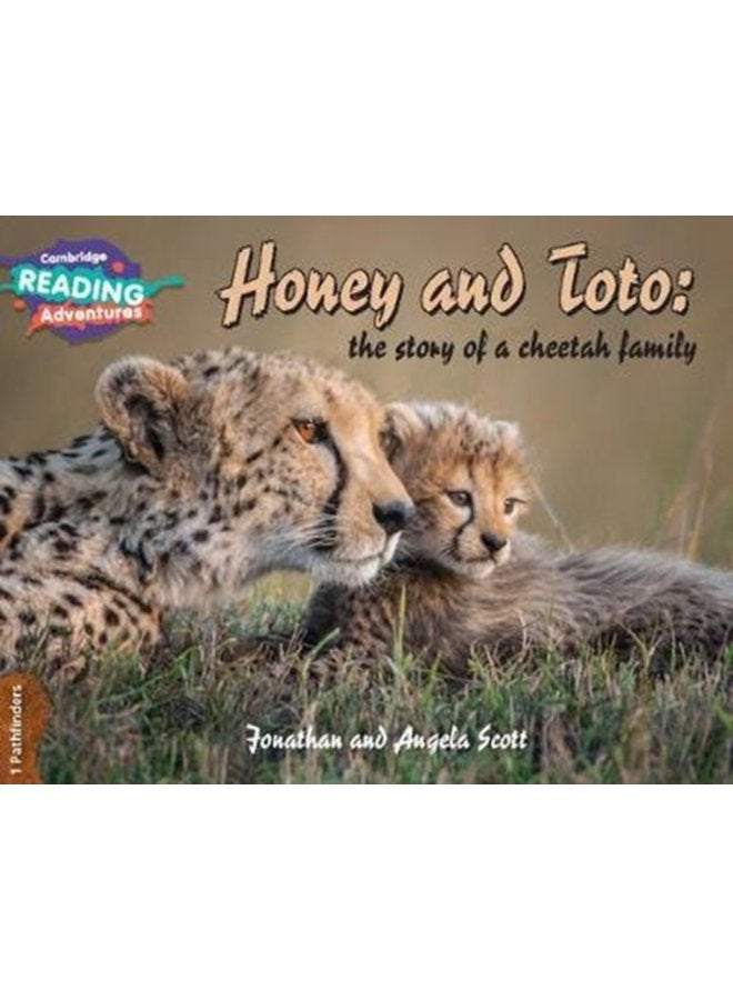 Cambridge Reading Adventures Honey and Toto The Story of a Cheetah Family 1 Pathfinders - Paperback
