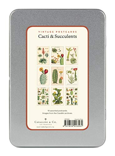 CAVANILLI & CO. Cavallini & Co. Cacti & Succulents Vintage Postcard Set - Image 2