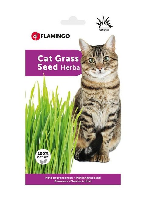 Flamingo Cat Grass Soft And Rich In Vitamin 11G