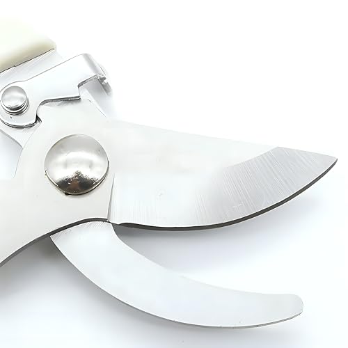 Garth Plant Cutter for Garden – Gardening Pruning Scissors with Safety Lock – Sharp Shears Tree Branch Cutter for Flower & Plants – Durable & Compact Agriculture Tool for Home & Garden Use (Pack of 1) - Image 3