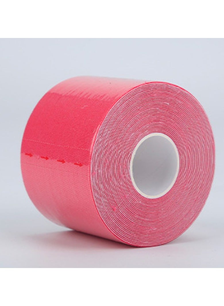 Loquat لصقة علاج العضلات المرنة من قطن سكوالتي - Image 1