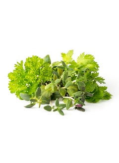 CLICK AND GROW Click & Grow Seeds Steak Seasoning Mix 9 pack  - Image 2