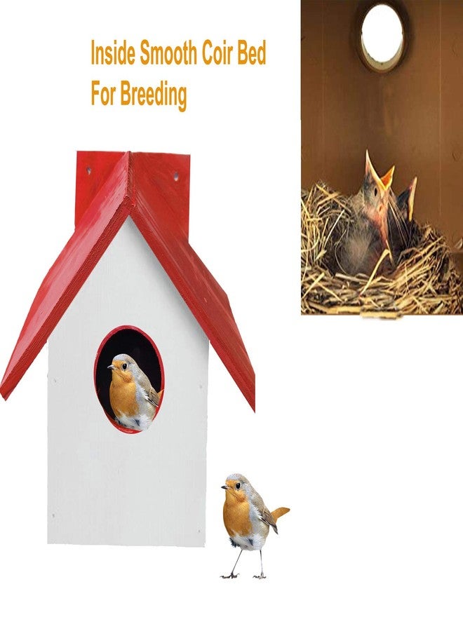 LIVEONCE Wood Bird House with Inside Coir Bed Pack of -1… (RED) - Image 2