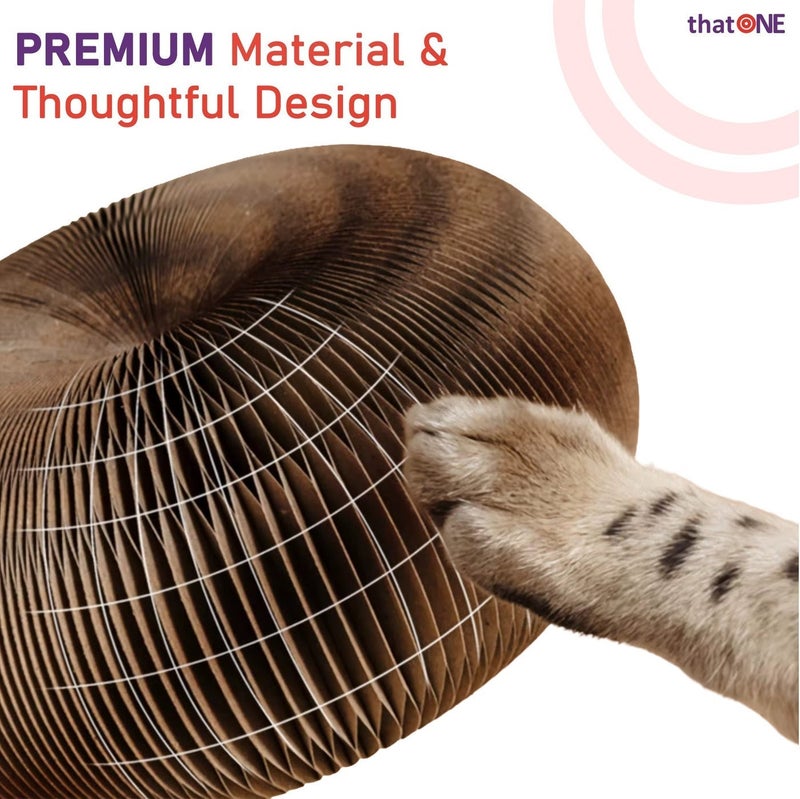 That One Premium Interactive Cat Play Ring – Expandable Honeycomb Enrichment Toy with Rolling Ball - Image 4