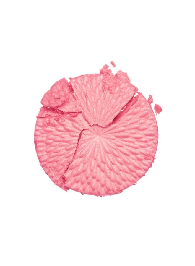 Chantecaille Sunstone Radiant Blush confidence 4g - Image 3