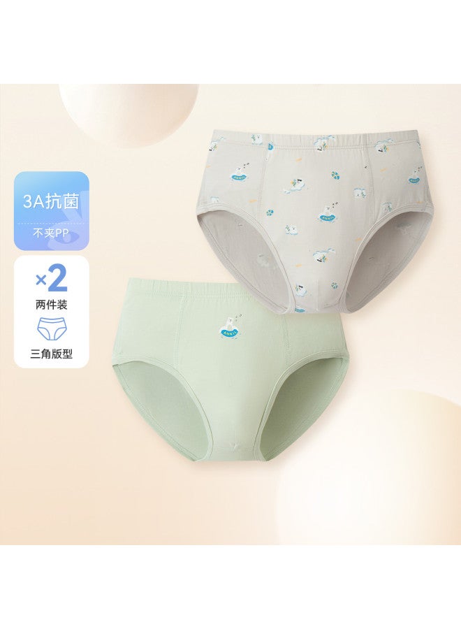 Annil boys' Briefs 2-pack - 2025 Spring New Stretchy Student Underwear - Image 2