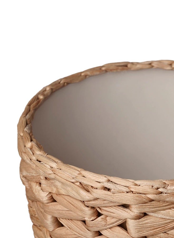 Generic Fridfull Plant Pot Water Hyacinth  - Image 2
