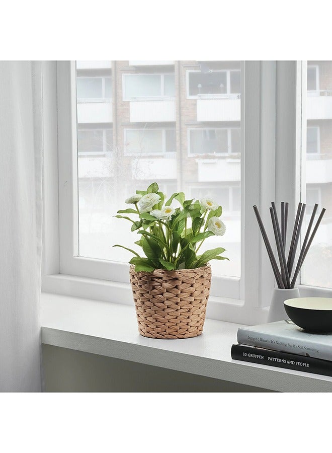 Generic Fridfull Plant Pot Water Hyacinth  - Image 3