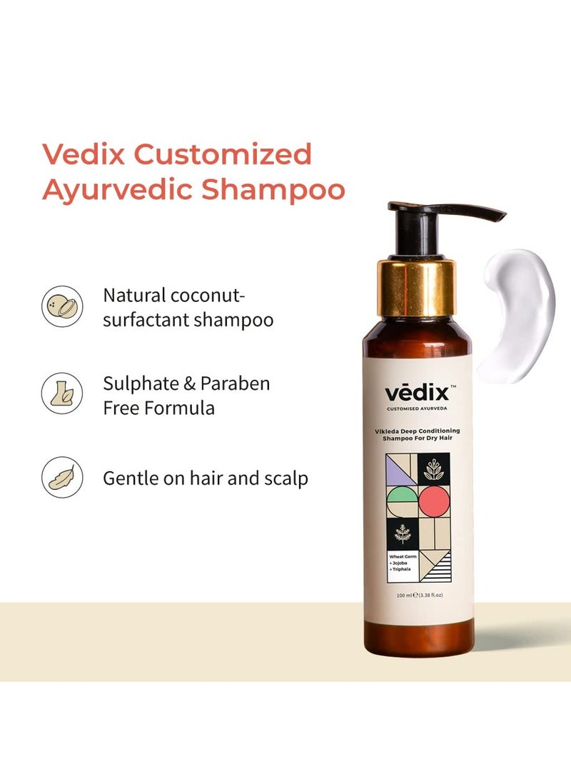 Vedix Shampoo and Conditioner Combo| Vikleda Shampoo For Dry Hair + No Frizz Hair Conditioner | Ayurvedic Shampoo & Conditioner | 100 ml + 100 ml - Image 2