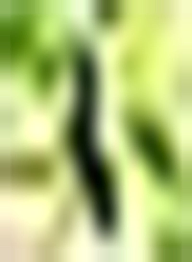 جي جوت 50 قطعة من مواد الترطيب المر لحديقة حدائق فاكهة زاون بلكونة طبيعية ورائعة تستخدم في زراعتها - Image 2