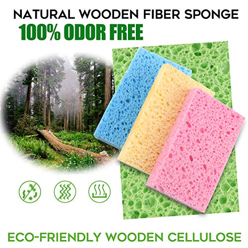 PANYEE Compressed Cellulose Kitchen Sponges 24Pack,Non-Scratch Biodegradable Natural Sponge Scrub for Dishes Cleaning,Funny Colorful DIY Sponge for Kids - Image 2