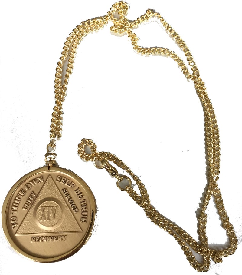 RecoveryChip Wendell's Fit AA NA Medallion Sobriety Chip Necklace Medallion Holder 22" Fits 34x2mm Coins - Image 1
