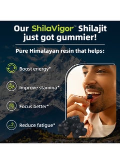 ShilaVigor ShilaVigor Advanced Collagen Shilajit Fudge 120 Veggie Gummies  - Image 2