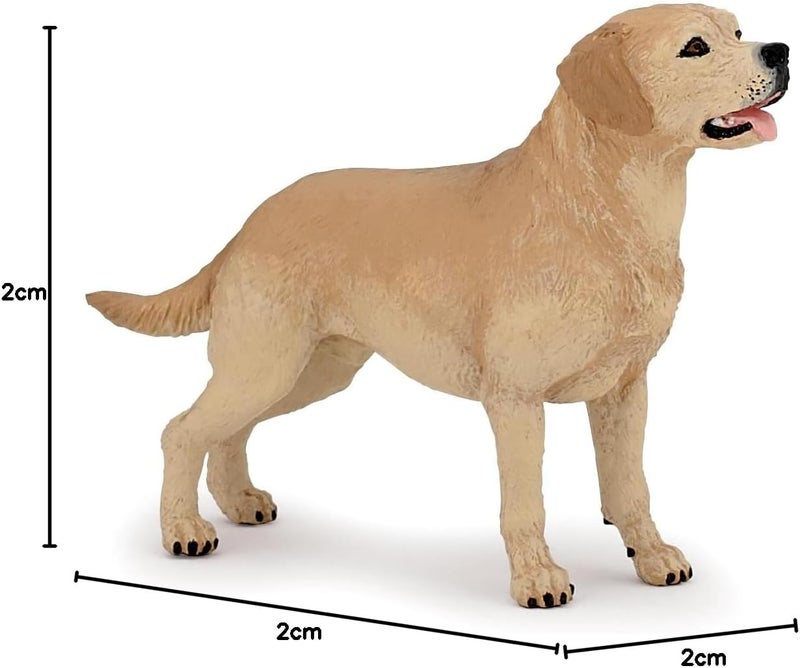 Papo  Labrador  Realistic Figurine  for Ages 3  Dogs and Cats Collection  Hand Painted  Highly Detailed  Durable and Educational  Gift Idea  Collectable  Labrador Toy  Dog Figurine - Image 4