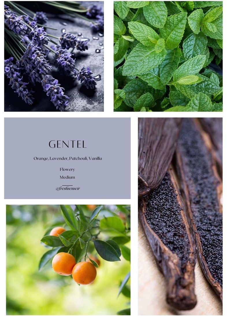 فريش سينس GENTEL زيت عطر الديفيوزر – مزيج أروماثيرابي بالبرتقال، اللافندر، الباتشولي، والفانيلا – Made in UK - Image 2