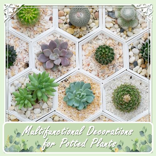 Ausluru 11lbs Polished Black River Rocks,Natural Decorative Stones for Indoor Plants,Vases & Fish Tank,Includes 1 Engraved Inspirational Rock,1-2 Inch Decorative Pebbles for Garden Landscaping - Image 3