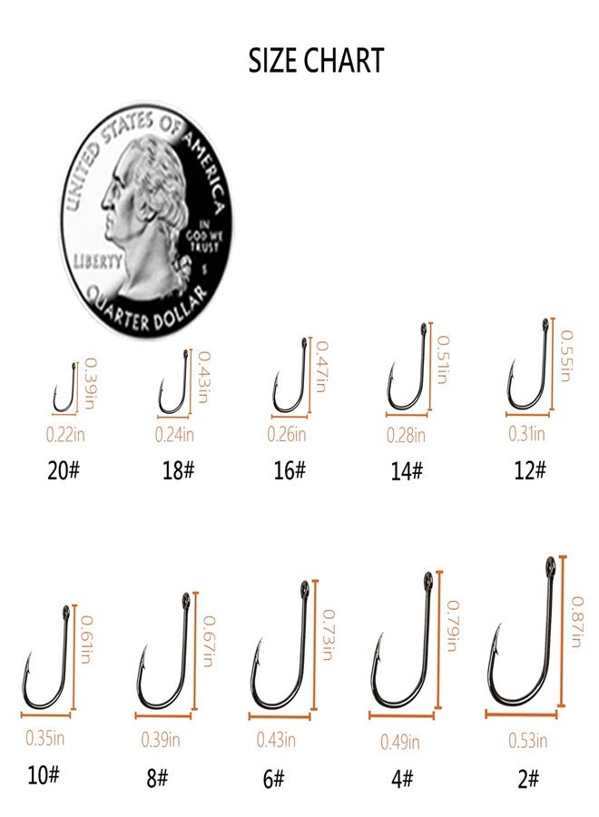 AMHDV 300Pcs/ 500Pcs/ 1000Pcs Small Fishing Hooks, 10 Different Sizes Tiny Fish Hook Set for Freshwater (1000pcs (2# to 20#)) - Image 2