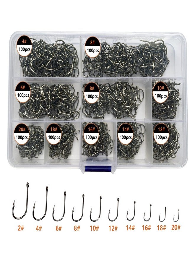 AMHDV 300Pcs/ 500Pcs/ 1000Pcs Small Fishing Hooks, 10 Different Sizes Tiny Fish Hook Set for Freshwater (1000pcs (2# to 20#)) - Image 1