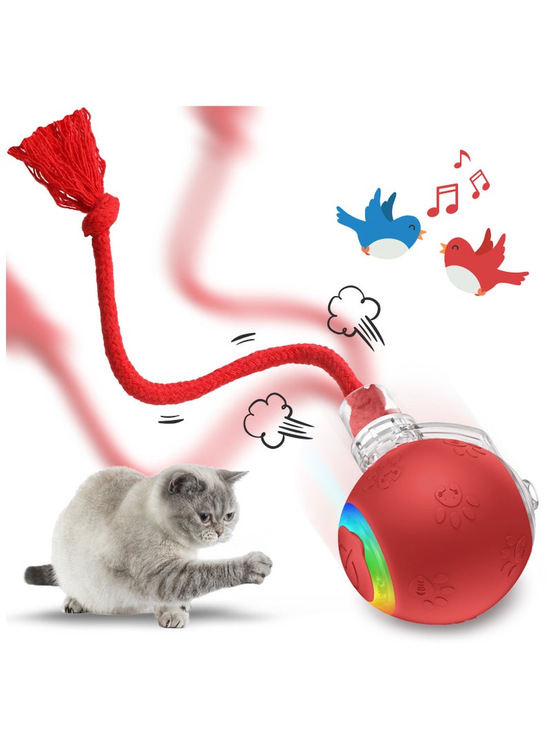 عام كرة صغيرة من السيليكون للحيوانات الأليفة، بالاستعمال الجاذبي والذكي. كتلة لتنبه القطط والكلاب. كرة حبلية وتنزهية كهربائية تتقلب. تساعد على تخفيف الوحدة. - Image 1