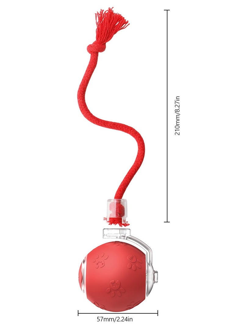 عام كرة صغيرة من السيليكون للحيوانات الأليفة، بالاستعمال الجاذبي والذكي. كتلة لتنبه القطط والكلاب. كرة حبلية وتنزهية كهربائية تتقلب. تساعد على تخفيف الوحدة. - Image 3