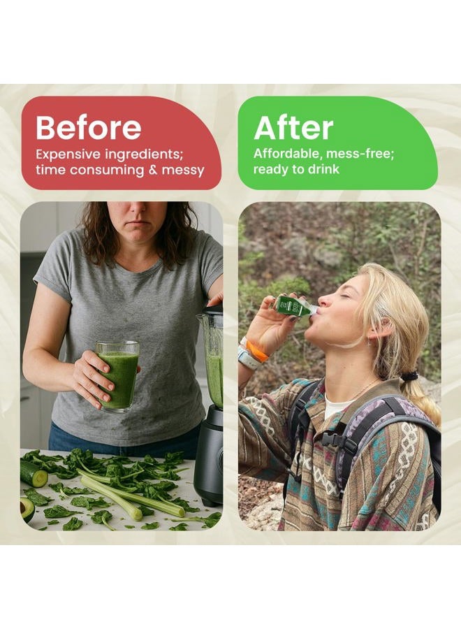 Chloroglow Chlorophyll Shots – Organic Plant-Based Liquid Cleanse Drink for Immune Support & Natural Energy – Pre-Mixed Supplement (4 Pack) - Image 3
