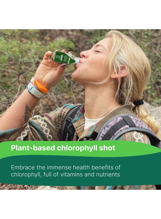 Chloroglow Chlorophyll Shots – Organic Plant-Based Liquid Cleanse Drink for Immune Support & Natural Energy – Pre-Mixed Supplement (4 Pack) - Image 2