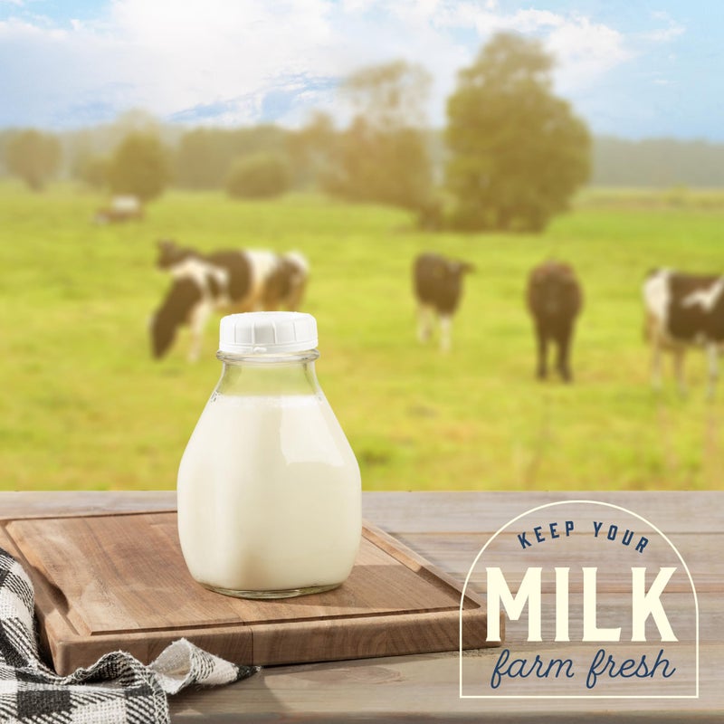 kitchentoolz 16 Oz Glass Milk Bottles with Lids (4 Pack) â€“ Reusable Glass Creamer and Juice Bottles â€“ Includes 8 Tamper-Proof Airtight Caps and One Silicone Pour Spout - Image 4