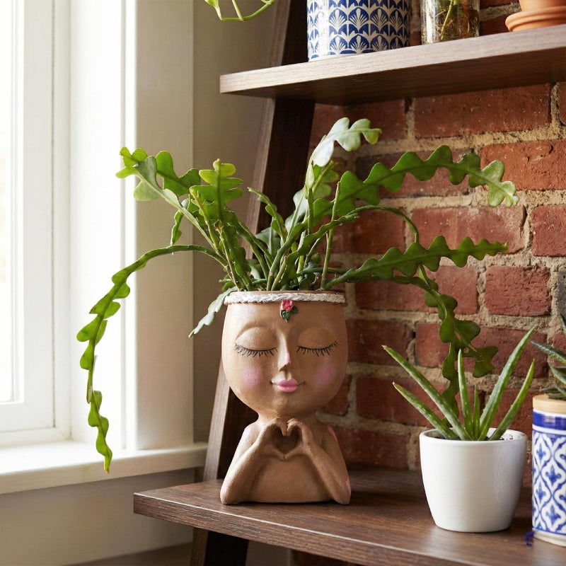Meltset M Face Planter Pot with Heart Hands, Resin Head Planter for Indoor Plants, Cute Succulent Pots with Drainage Hole, Gardening Gifts for Women Mom Teacher, 7.3" Home Decor (Brown) - Image 4