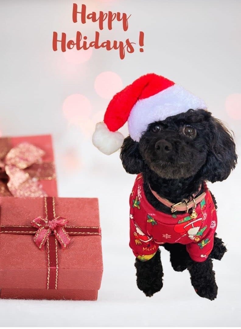 PETSARY Santa Hat for Dogs and cats - Image 2