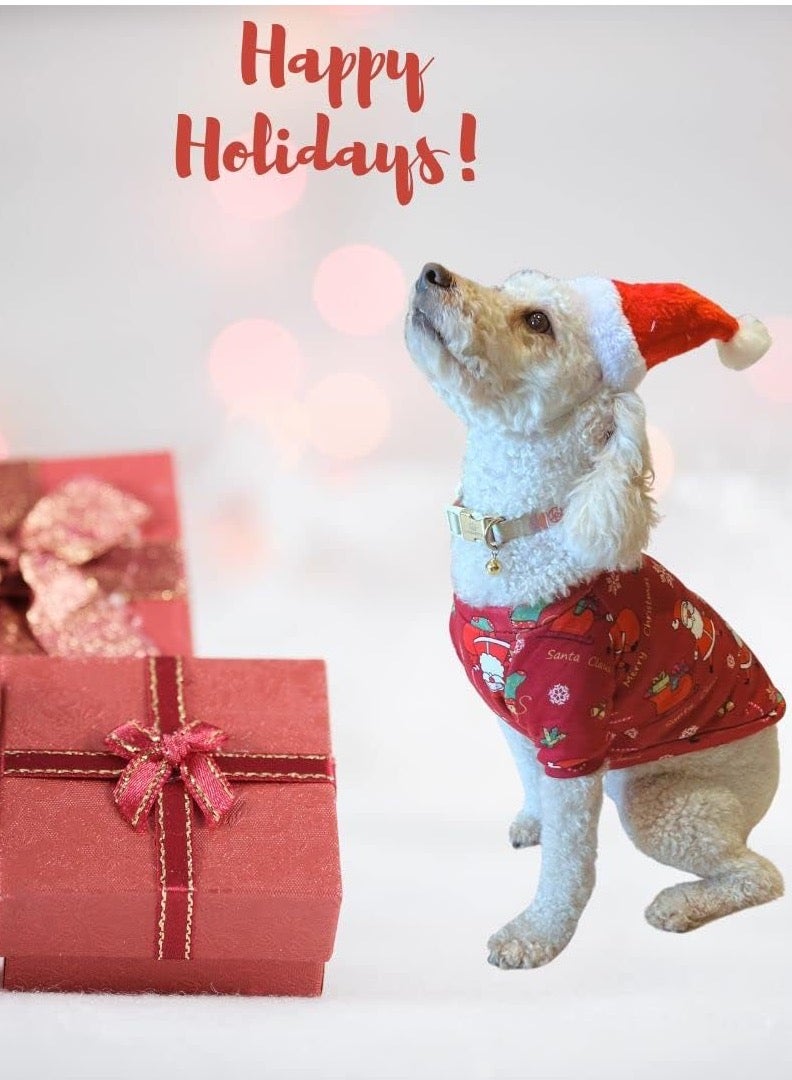 PETSARY Santa Hat for Dogs and cats - Image 4