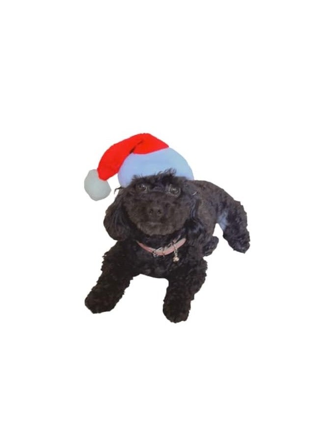 PETSARY Santa Hat for Dogs and cats - Image 1