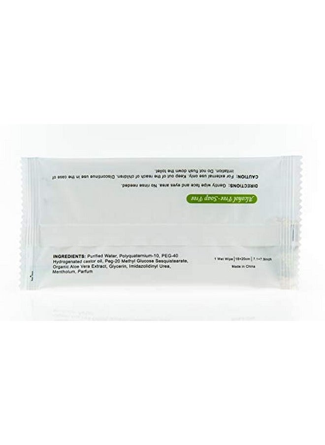 Travelwell TRAVELWELL Makeup Remover Wipes Bulk, Individually Wrapped Natural Fresh Aloe Travel Packs Elderly Bathing Cleansing Wipes - 500 Count per Package | Travel Size Toiletries | Hotel Toiletries Bulk Set  - Image 5